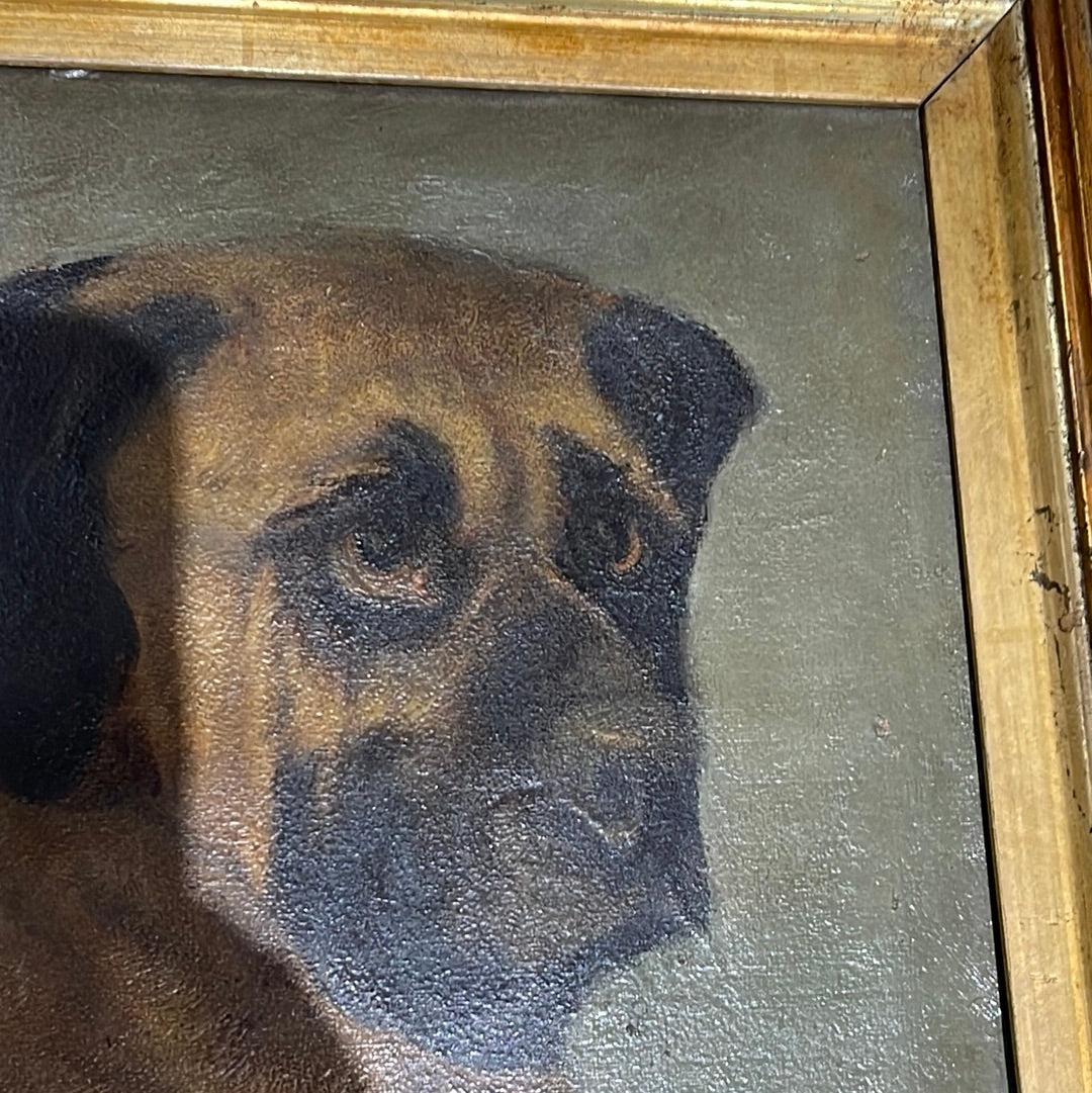 English Oil on Canvas - Dog