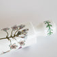 Vintage Portmeirion Rolling Pin Botanic Garden Venus Fly Trap