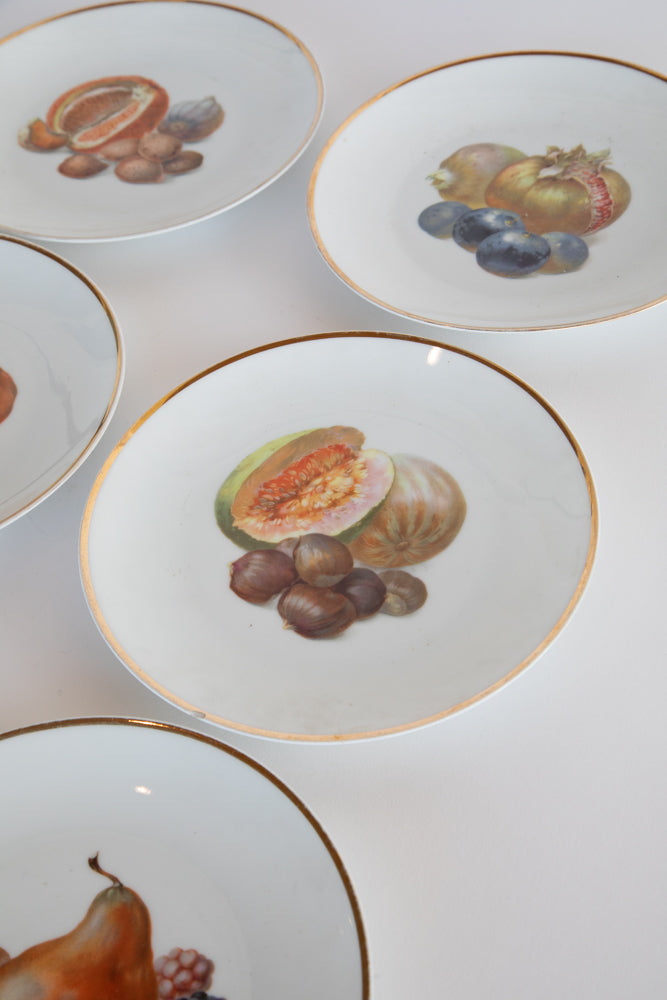 Set of 6 Bavarian Fruit Plates c.1870